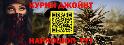 сатива Новодвинск