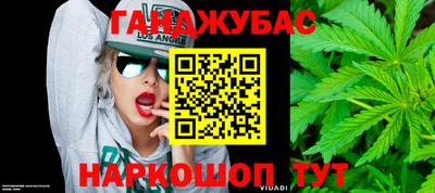 крисы Новозыбков