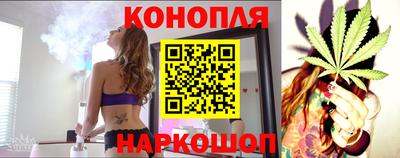 крисы Новозыбков