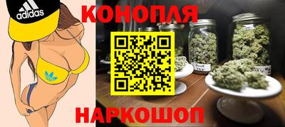 крисы Новозыбков