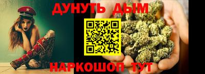 сатива Новодвинск