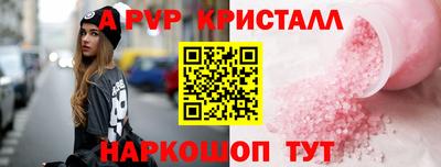 крисы Новозыбков