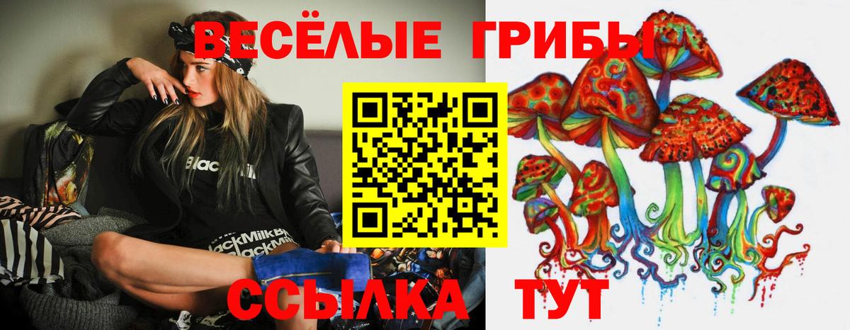 Псилоцибиновые грибы GOLDEN TEACHER  Вход с VPN  Свободный 